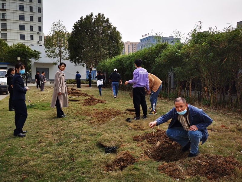 2021年贵港市博物馆开展义务植树活动.jpg
